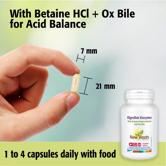 Digestive Enzymes