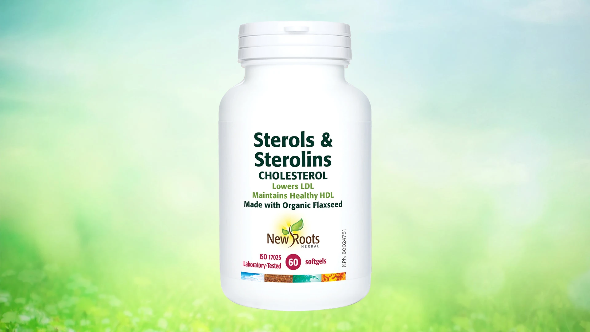 Thumbnail for Sterols & Sterolins Cholesterol